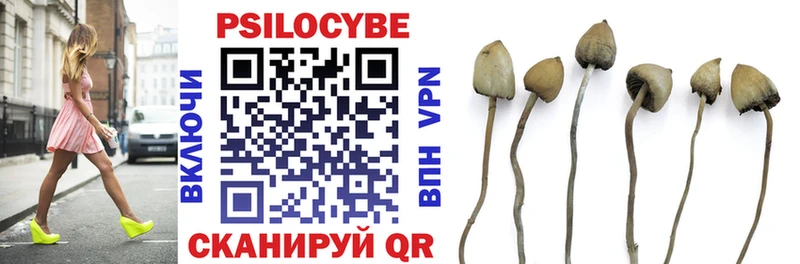 Галлюциногенные грибы Psilocybine cubensis Порхов