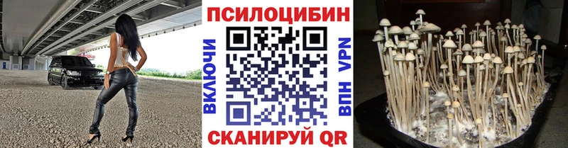 Галлюциногенные грибы Cubensis  Купить закладки  Порхов 